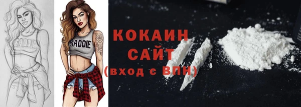 ECSTASY Богородицк