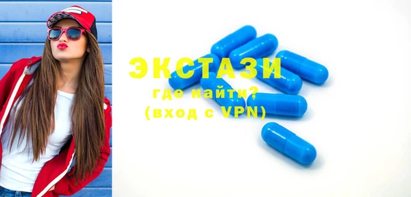 ECSTASY Богородицк